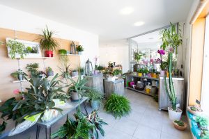 boutique florale